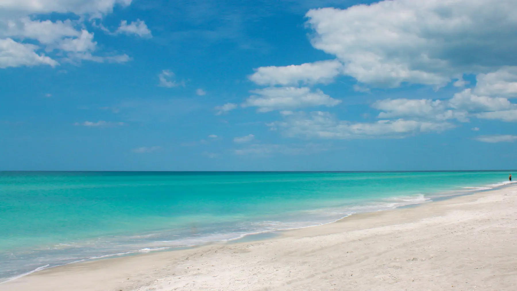 Open Gulf water and white sand along the beach at Longboat Key.