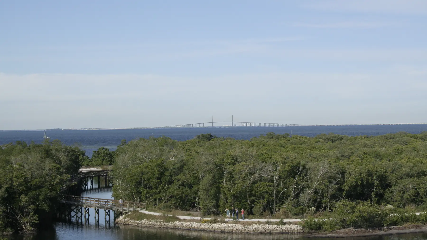 Mangrove shoreline and open water at Robinson Preserve, with the Skyway on the horizon.