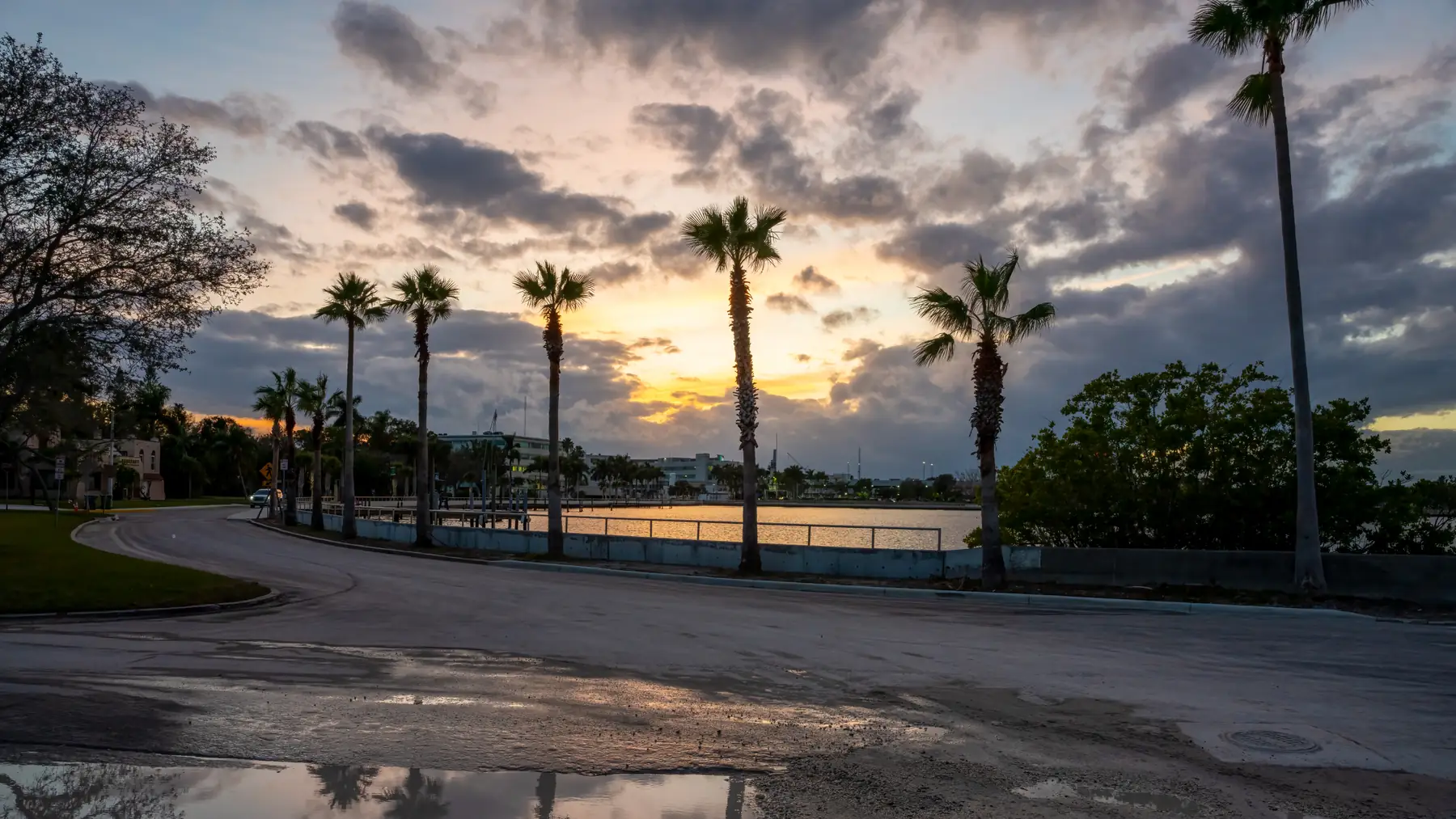 Palms along the water in Bradenton at sunset.